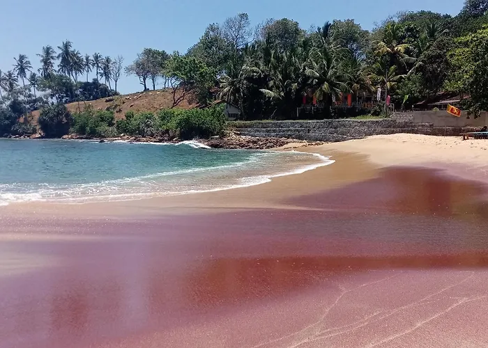 Surf Paradise 2