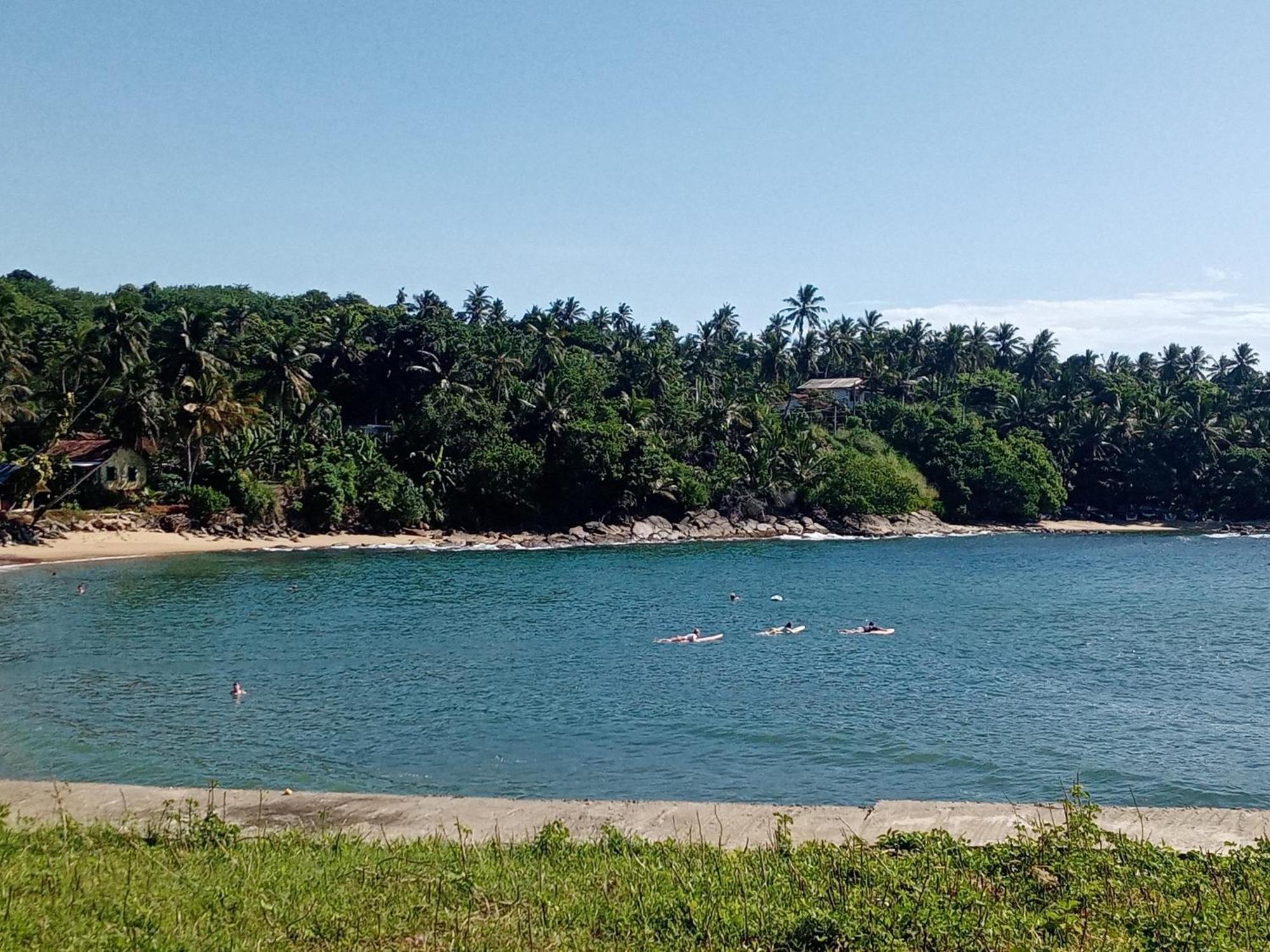 Homestay Surf Paradise 2