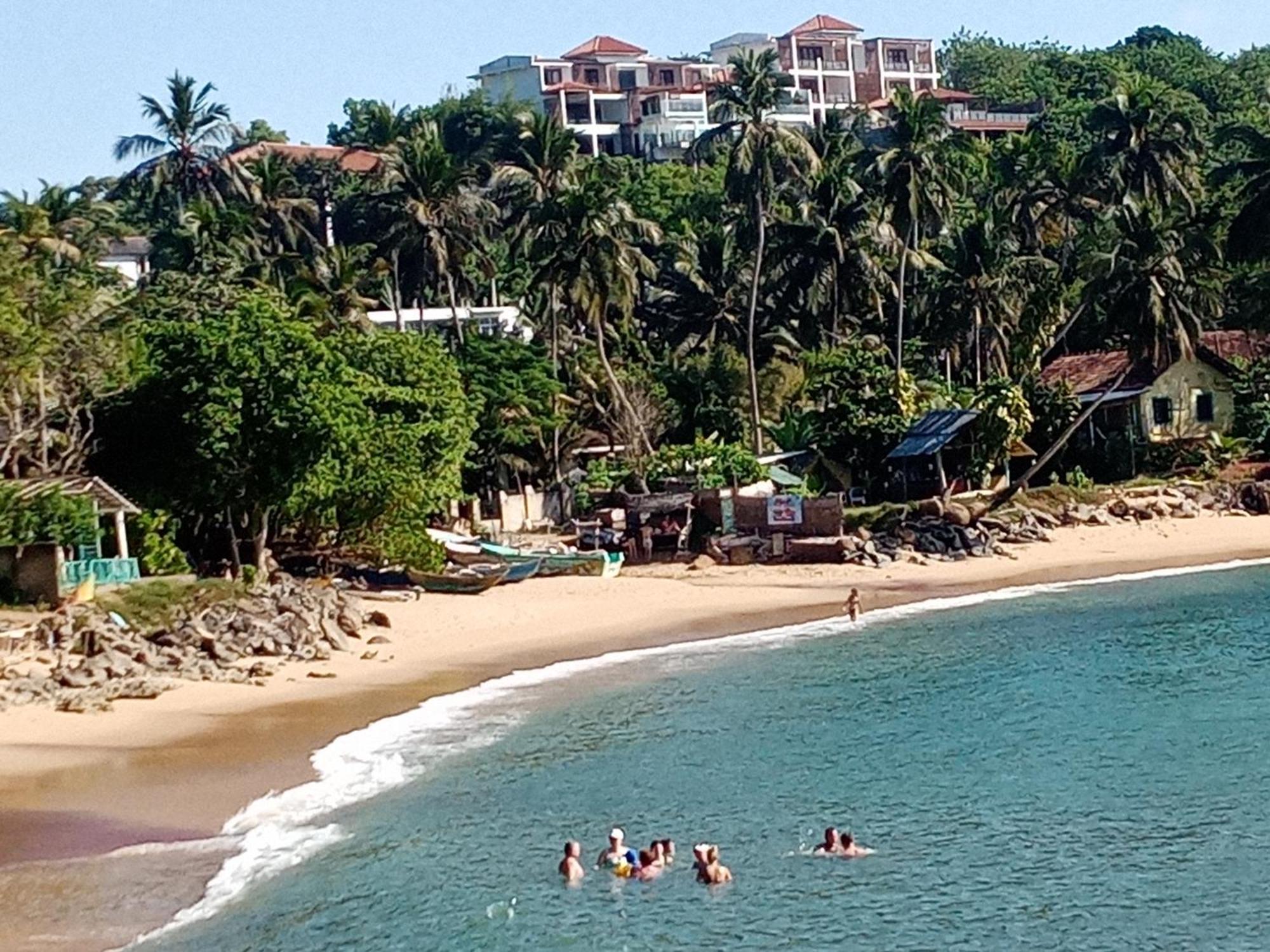 Surf Paradise 2 *
