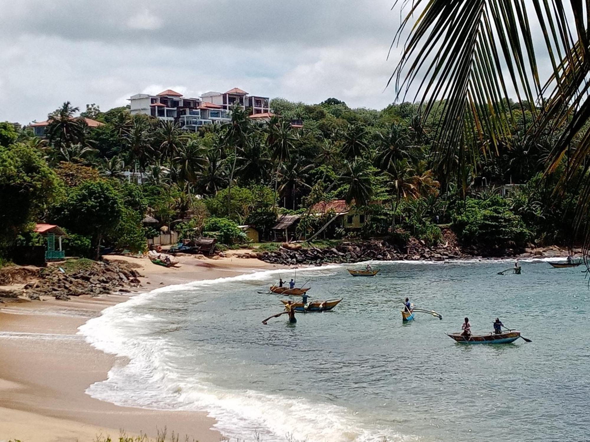Homestay Surf Paradise 2