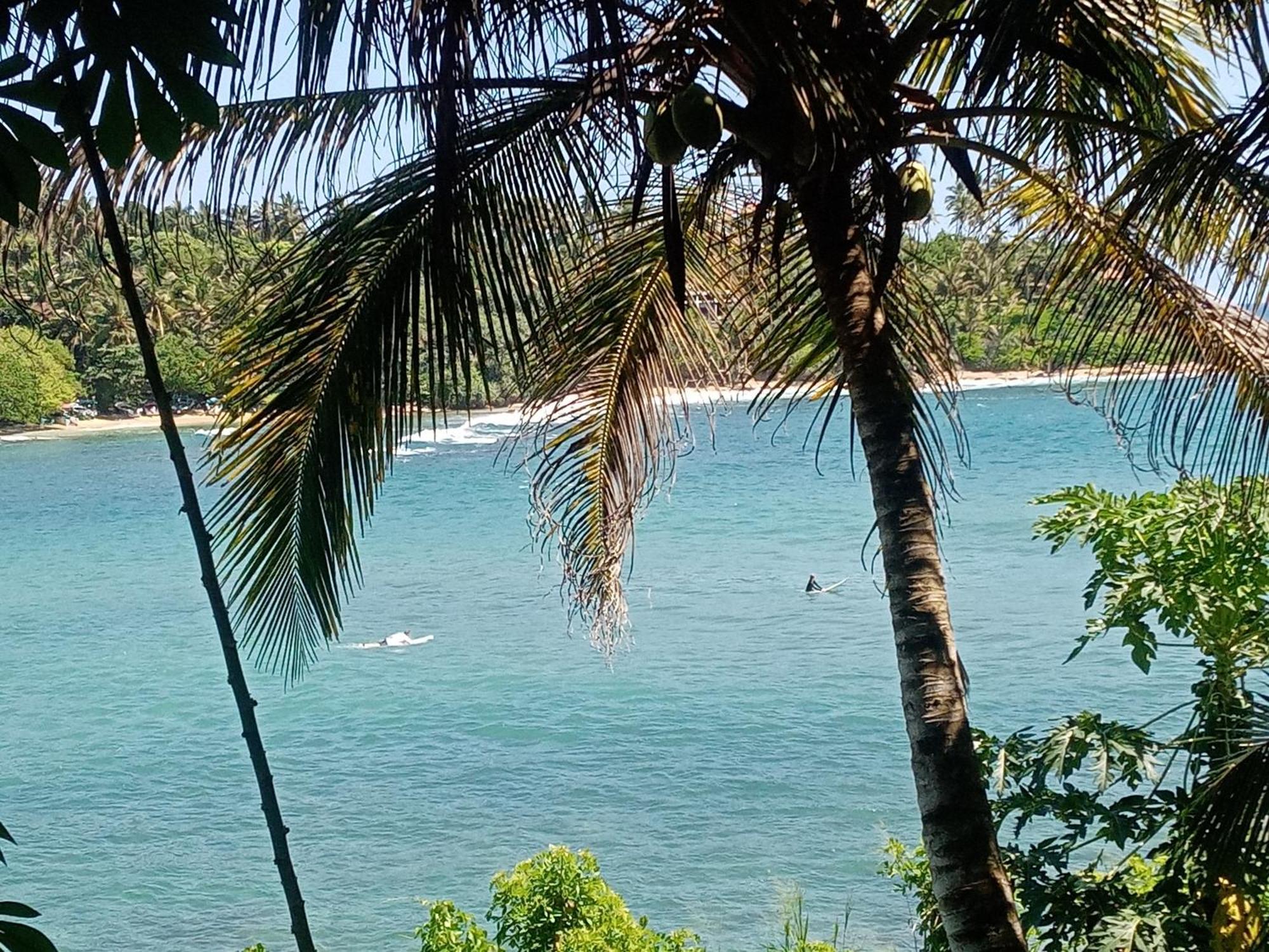 Surf Paradise 2 Unakuruwa