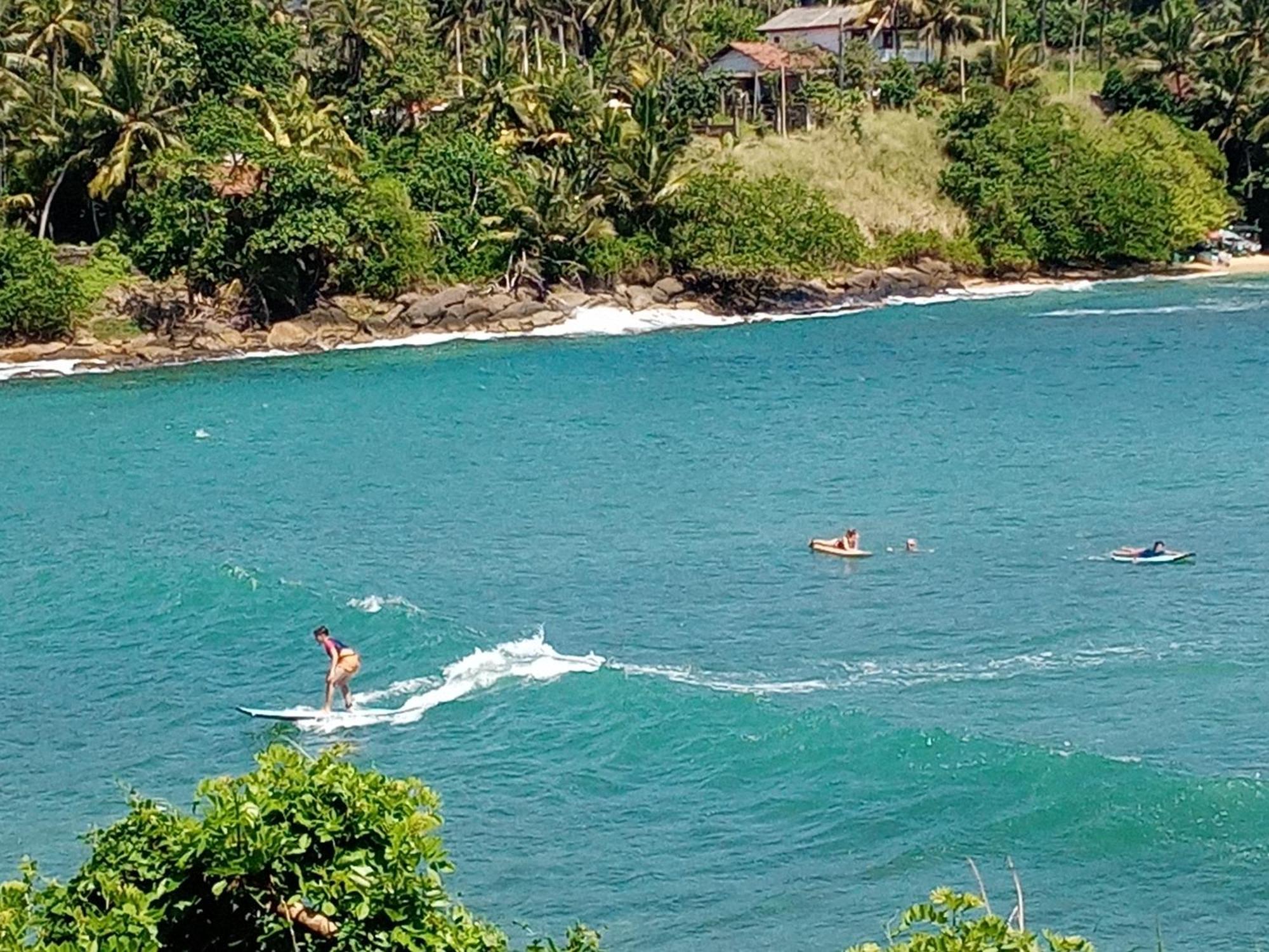 Surf Paradise 2