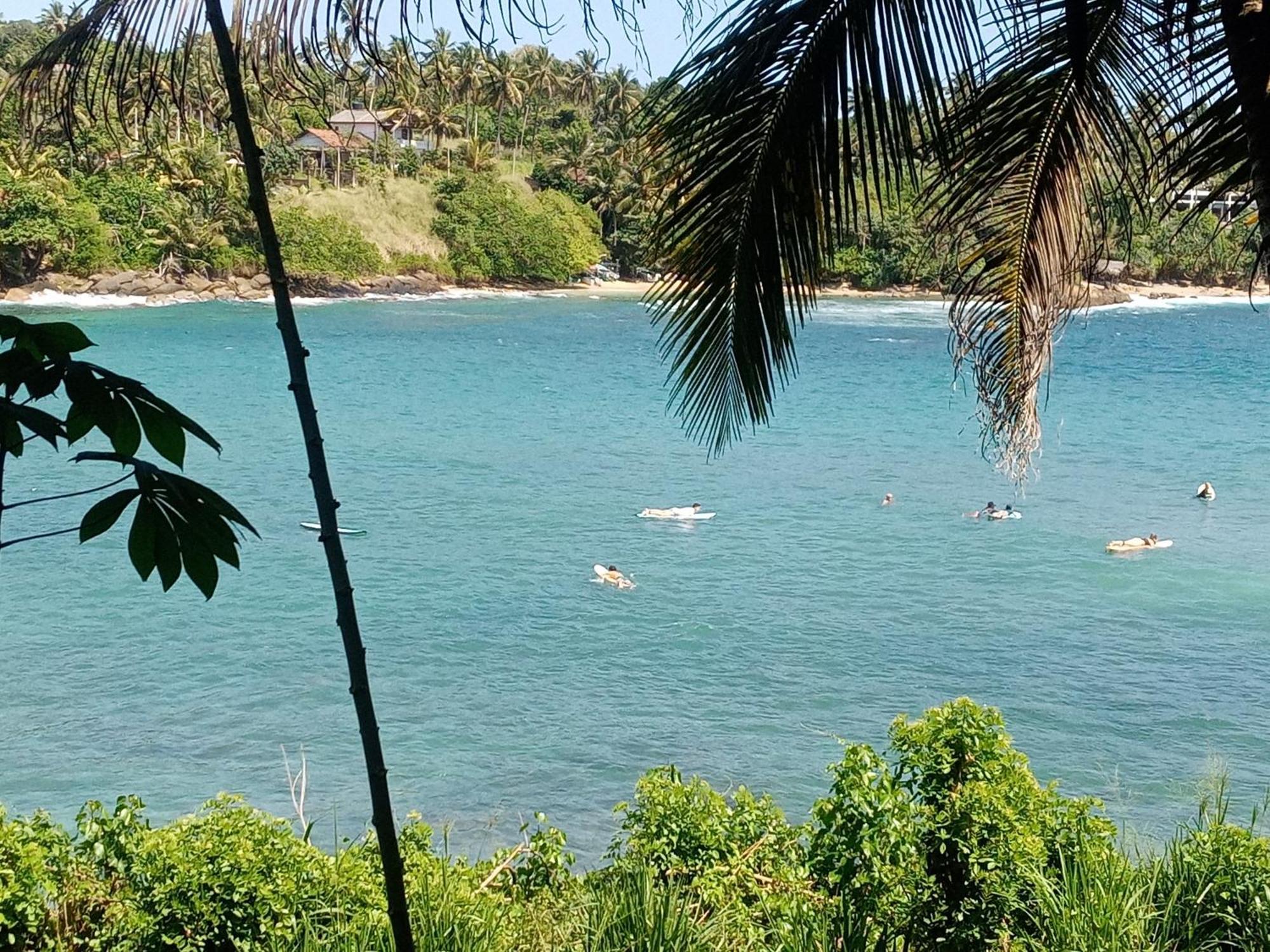 Surf Paradise 2 * Unakuruwa