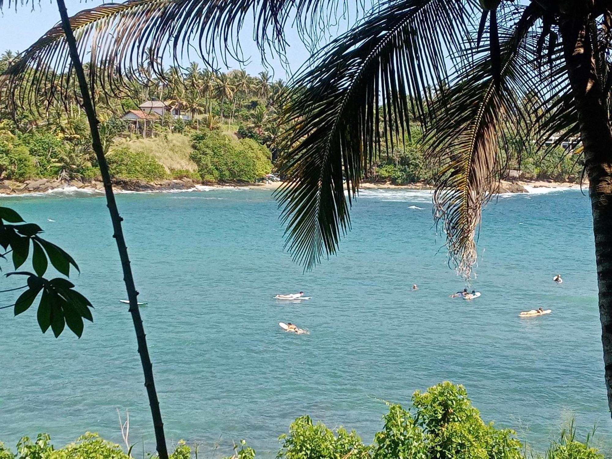 Séjour chez l'habitant Surf Paradise 2 *