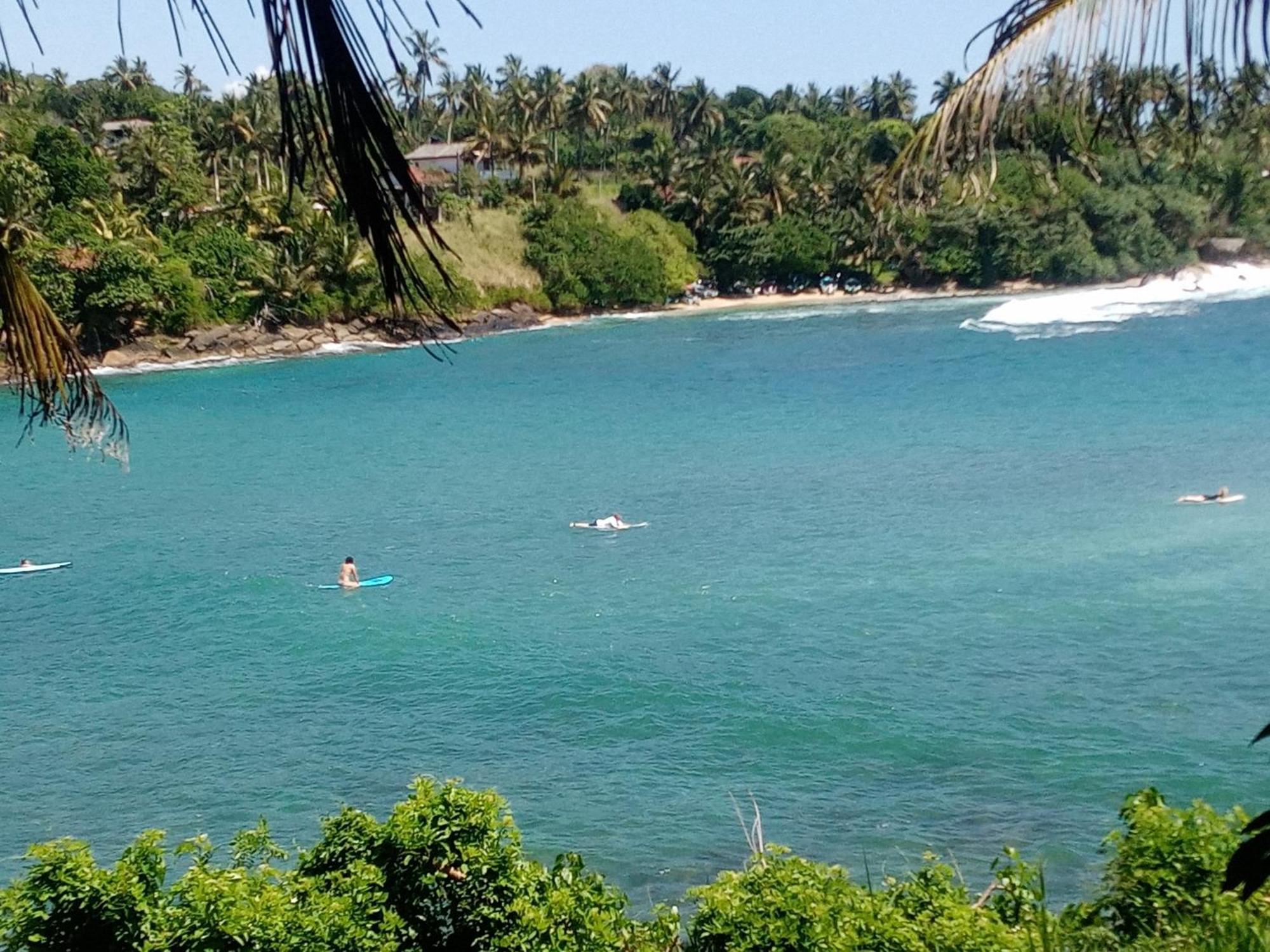 Homestay Surf Paradise 2 *