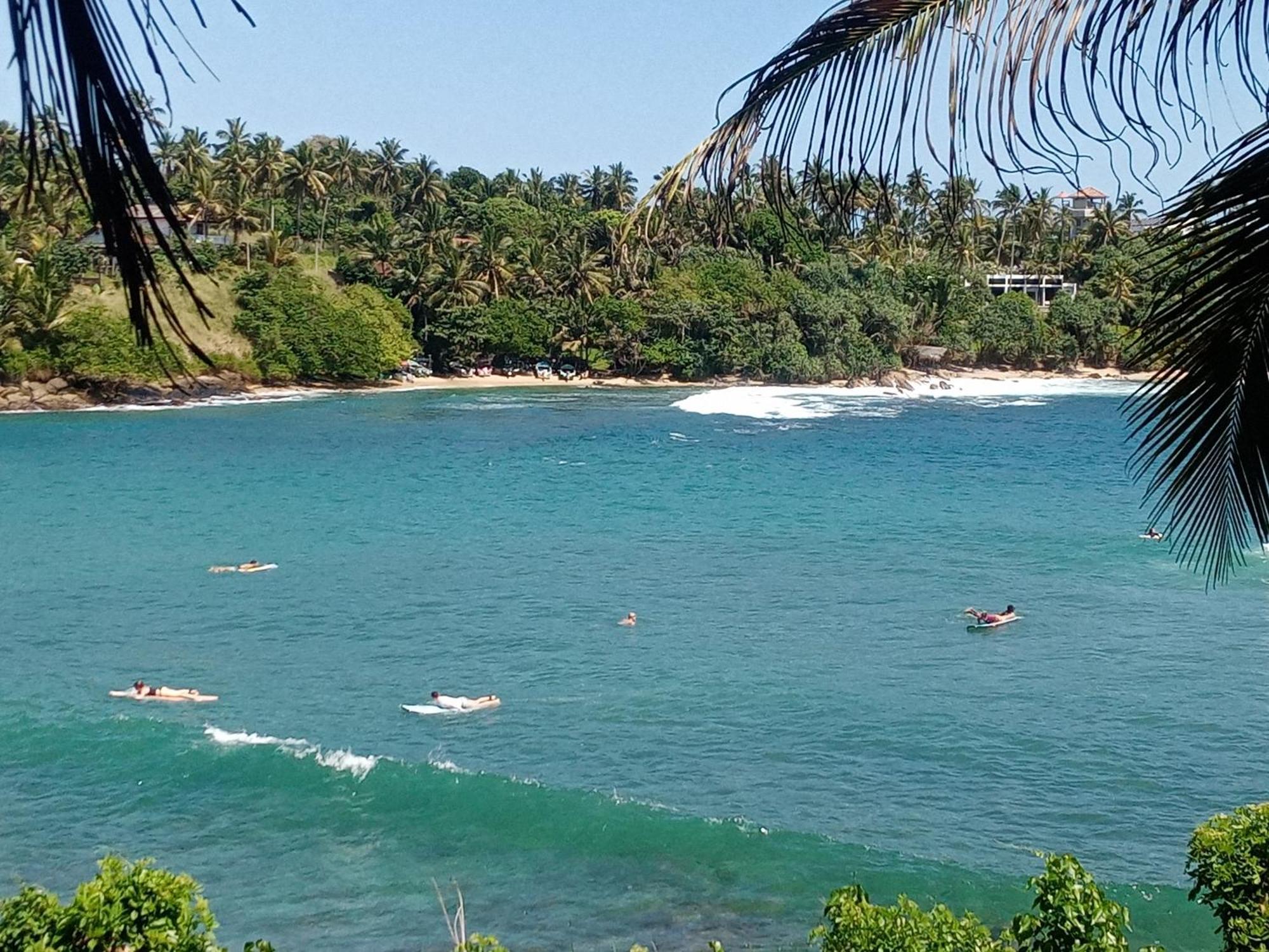 Surf Paradise 2