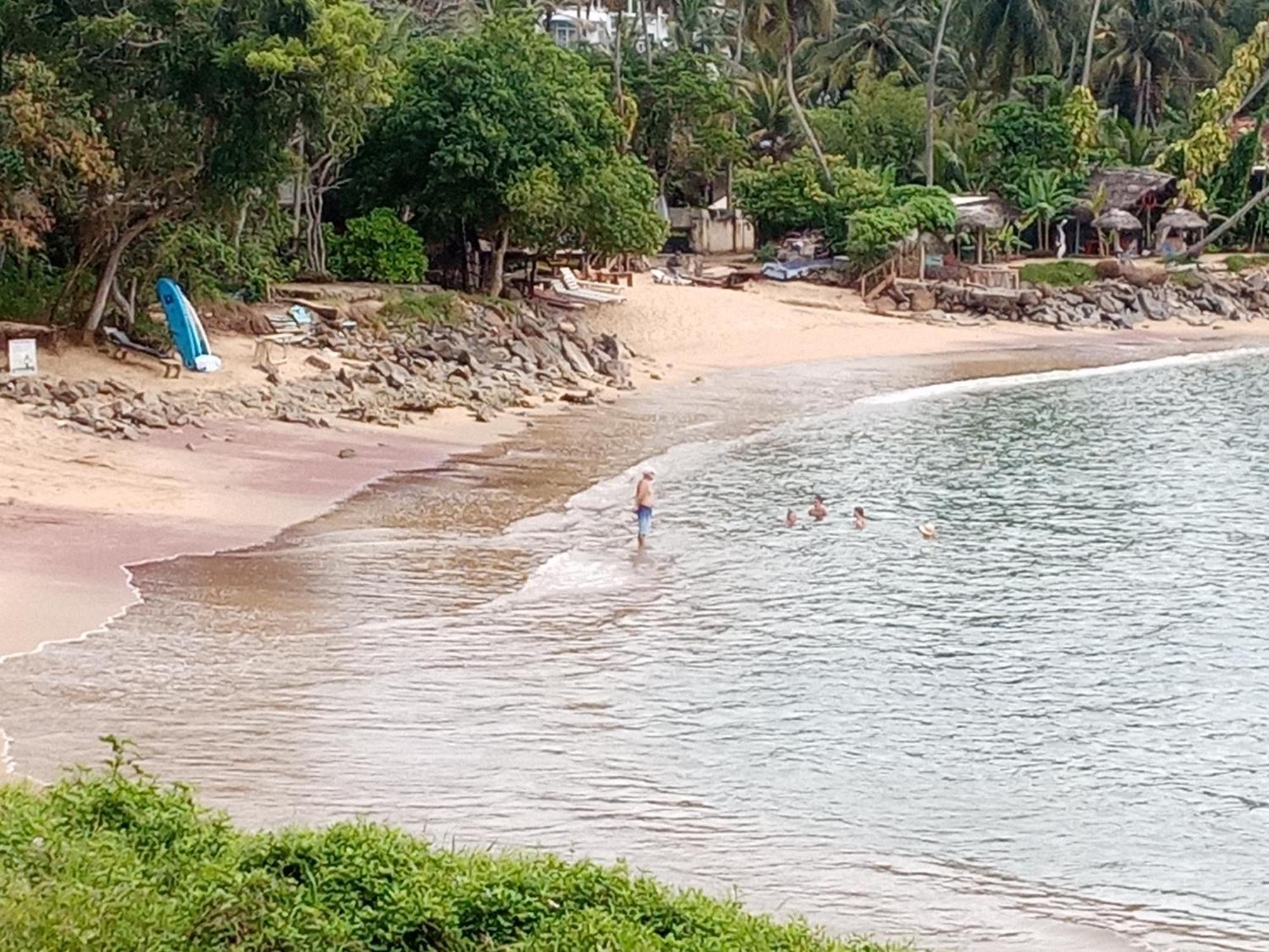 Séjour chez l'habitant Surf Paradise 2 *